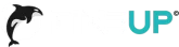 Fineupauto